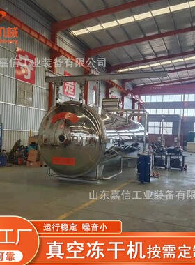 大型猕猴桃冻干机 水果蔬菜冻干设备500kg食品茶叶冷冻干燥机定制