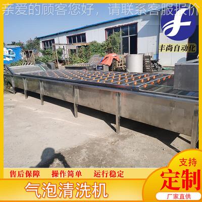 供应净菜清机设备蔬 菜气泡清洗机 续式果蔬气泡洗清QMN洗连机