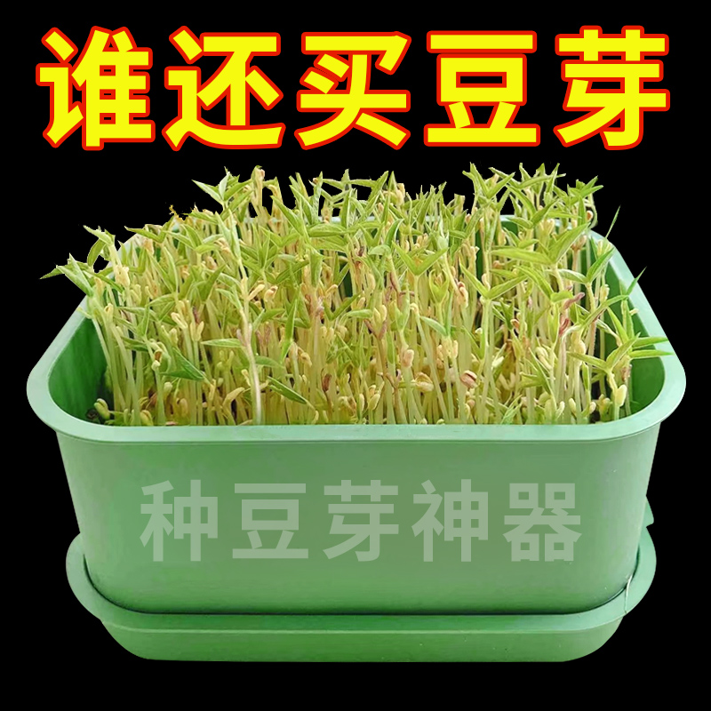 新鲜豆芽全自动豆芽发芽神器