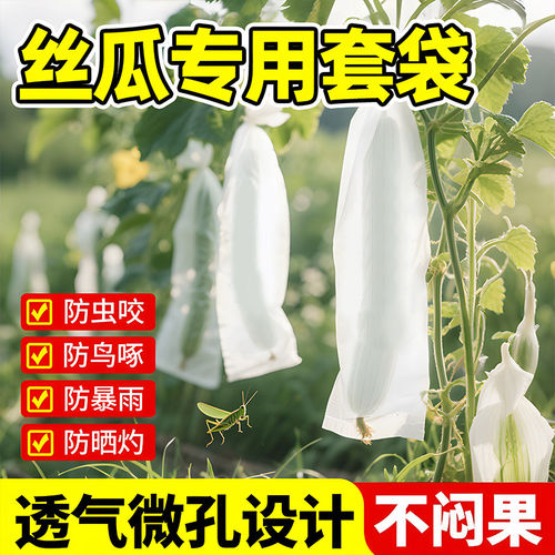 无纺布瓜果防虫防鸟套袋