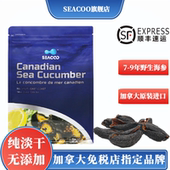 SEACOO 加拿大东海岸野生淡干侧开口北极参进口红极参红参