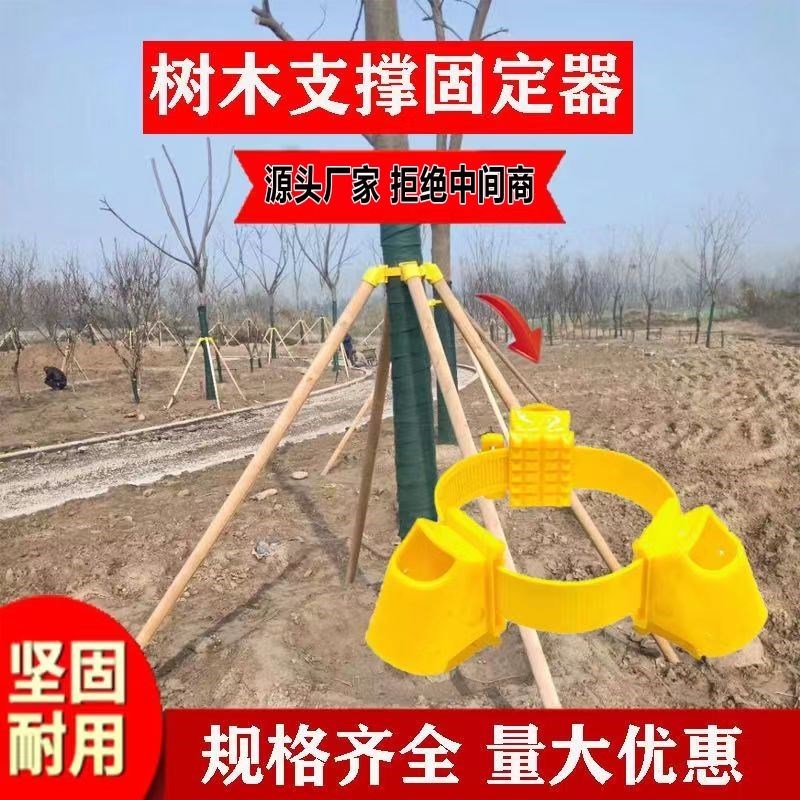 树木支撑固定器支撑架杆杉木松木杨木棍园林绿化防风X工程稳定支