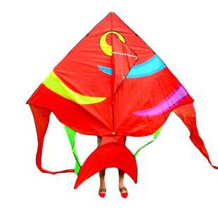 潍坊鸿运风筝 新款儿童卡通彩虹燕鱼风筝大中小型微风风筝包邮