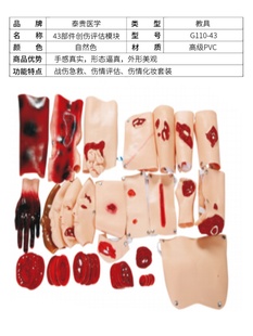 销泰贵医学G11043部件创伤评估模块伤情化妆套装 战救伤口识别练新