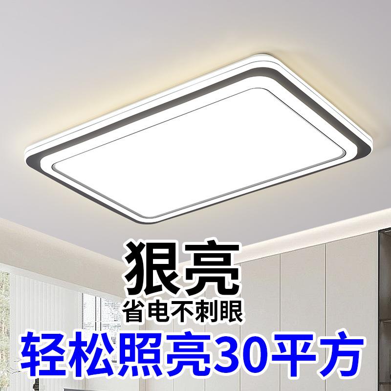 广东中山灯具led灯芯吸顶灯新款走廊客厅主灯超亮卧室超轻薄