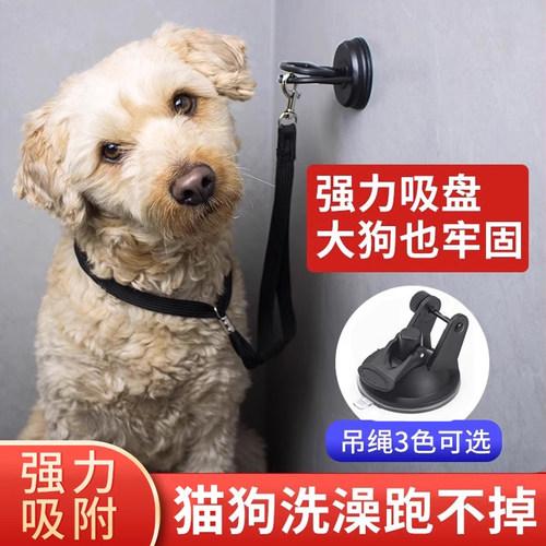 狗狗洗澡固定器宠物剃毛拴狗绑狗绳美容桌吊绳猫咪神器牵引绳吸盘