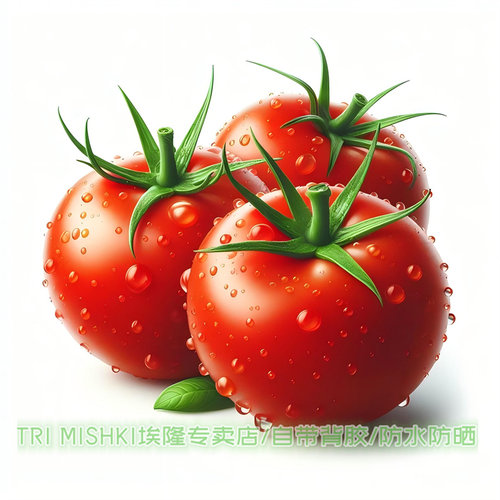 爆款家用新鲜西红柿蔬菜水果贴纸冰箱厨房防水贴纸墙面划痕补丁贴