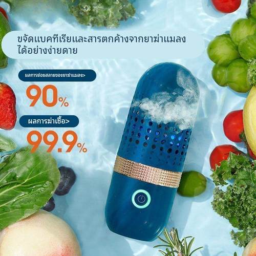 德国超声波果蔬清洗机去农残洗菜机水果蔬菜净化器家用食材杀菌机