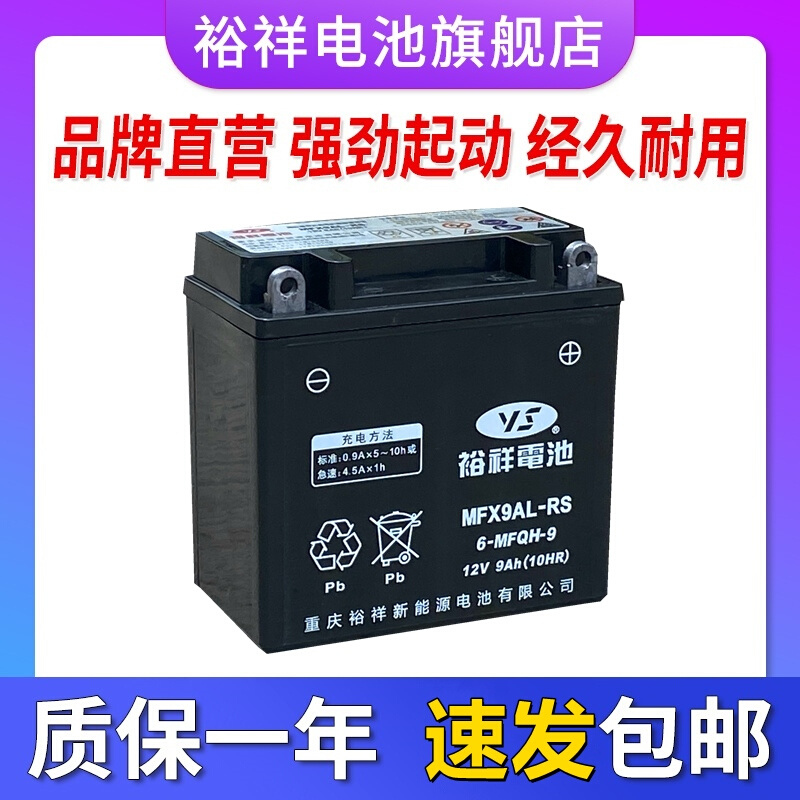 裕祥摩托车电池12V9A左负右正KPT200/GPR200通用12N9-3B干蓄电池