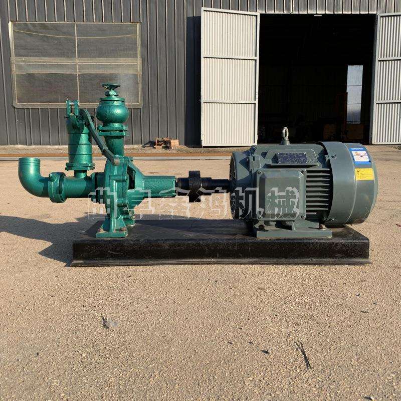 自带发电机柴油抽水泵 柴油手推抽水泵 30马力柴油机12寸蜗壳泵