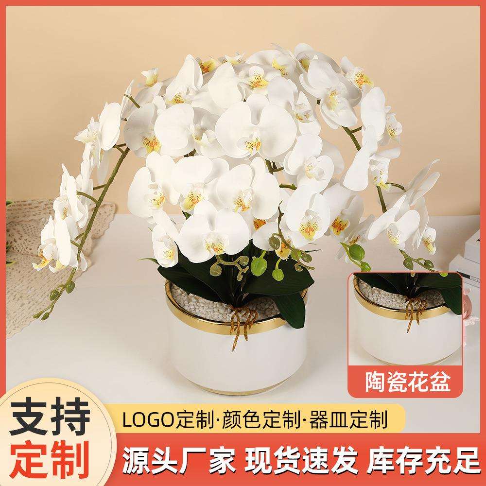 欧式轻奢蝴蝶兰陶瓷盆栽办公桌面装饰盆景室内卧室布置PU绿植摆件
