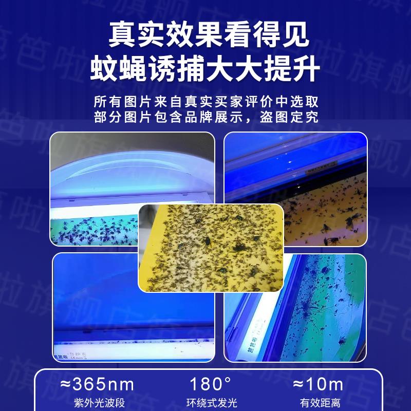 笆笆啦商铺用挂墙灭蚊灯粘商蝇用灭灯饭捕厅式饭店诱捕虫苍蝇BL-6