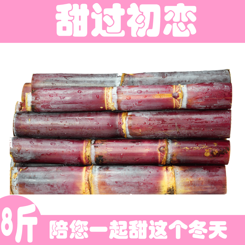 甘新鲜蔗贵州省普安紫皮红皮甘蔗