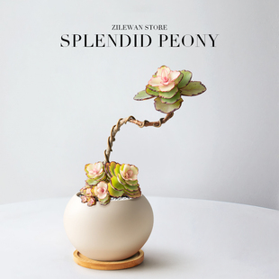 锦绣牡丹多肉植物盆栽造型老桩小盆栽绿植办公室工位桌面女生送礼