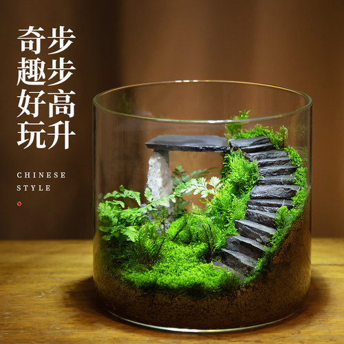 创意苔藓微景观办公室桌面摆件绿植盆栽青苔生态瓶盆景四季耐养活