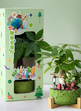 发财树小盆栽办公室桌面招财绿植摆件室内客厅云竹植物带礼盒礼物