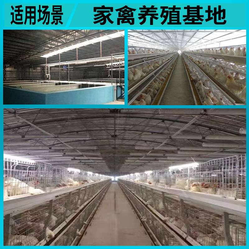 LED养殖照明防水T5日光管 畜牧养殖养鸡鸭低压48V可调光led灯管
