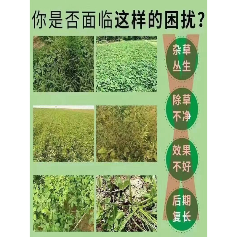 环泰铜除草烂根剂一扫光三年不长草环泰铜除草烂根剂一扫光三年不