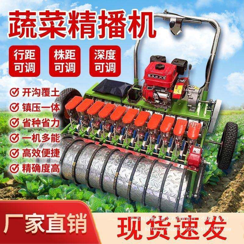 蔬菜药材精播机手推农用自动多功能播种黄芪小型电动油菜香菜芹菜