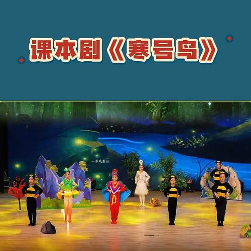 寒号鸟演出服装小学生课