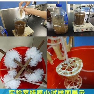 微生物甘度硝化反硝化复合细菌厌好氧菌样品实验装 污水处理菌种