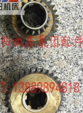 沈阳中捷钻床配件 Z3080-25 Z3063-20 齿轮 61336 齿数16-31 原厂