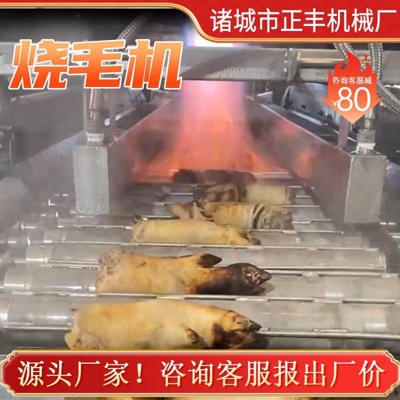 液化气猪蹄烧毛机 商用连续式猪肘猪脸燎毛机 青椒燎皮机 烧毛机,清洗/食品/商业设备,肉制品加工设备,淘宝优惠券,粉丝福利购,淘宝优惠卷