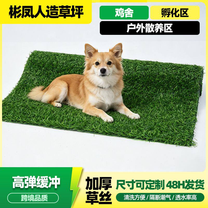 宠物草坪 宠物狗窝定点训练假草坪室内厕所垫狗狗猫咪大小便地毯
