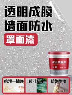 面漆室内地坪透水混凝土清漆水性墙乳胶漆外墙防水清漆