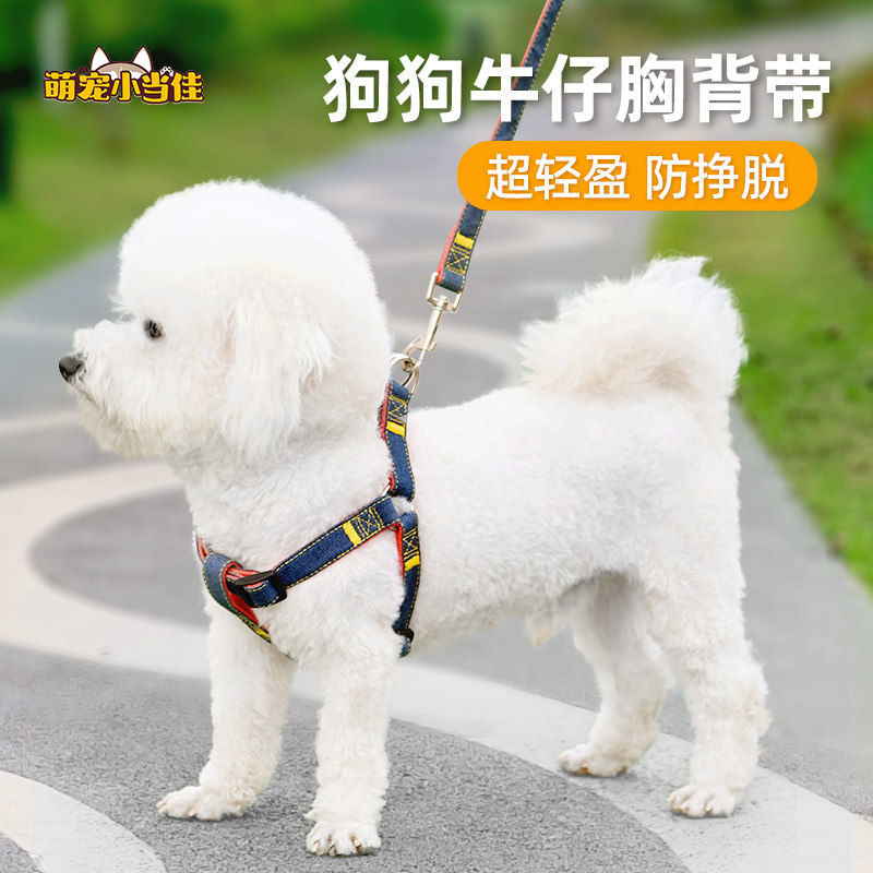 狗狗牵引绳脖圈小中大型幼犬链子