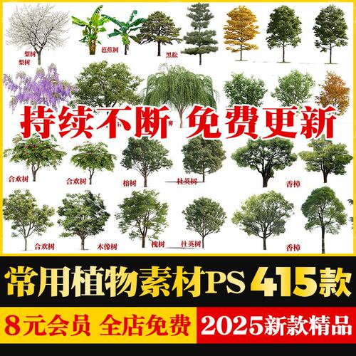 高清PS常用园林景观植物乔灌木立面树效果图后期PSD分层素材榕树