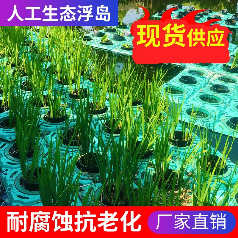 水生植物种植浮床人工绿化浮岛蔬菜造景环保净化水质新型河道水面