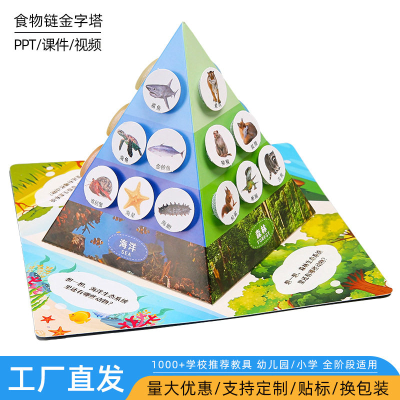 diy科技小制作科学实验食物链金字塔 儿童手工学生生物材料包套装