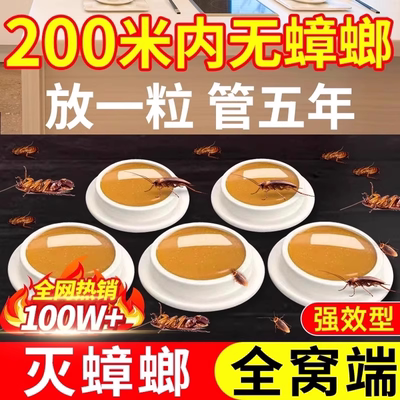 蟑螂药家用全窝端正品旗舰店非无毒诱饵剂一次全窝绝杀强效第一名
