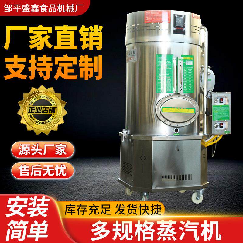 全自动液化气天然器蒸汽发生器新款商用蒸汽机锅炉