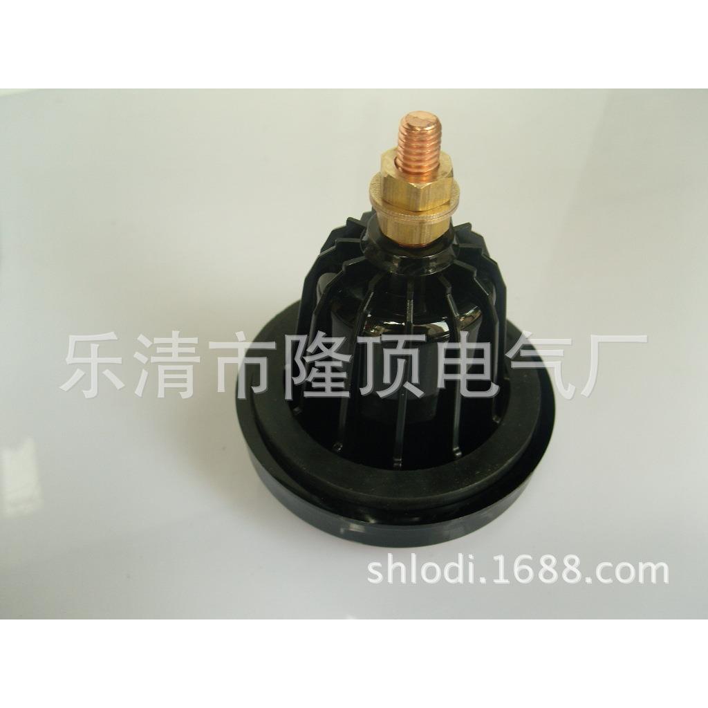 隆顶 螺杆型连接6kv传输100A 高压接线柱10kv穿墙端子20kv 200A