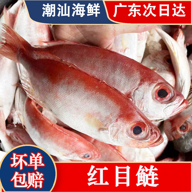 红目鲢大眼鸡鱼潮汕海鲜打冷鱼饭活冷冻海鲜水产红目良鱼