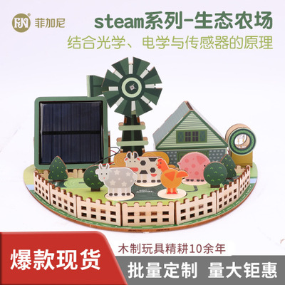 菲加尼儿童STEAM-阳光牧场科教 DIY拼装模型手工益智木制玩具套装