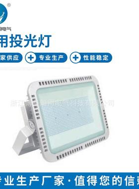 博舟TG21-L投光灯适用于各类船舶船坞港口码头堆货场和石油平台