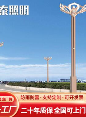6/8/10/12米广场大型景观路灯多颜色可选LED防水路灯直销