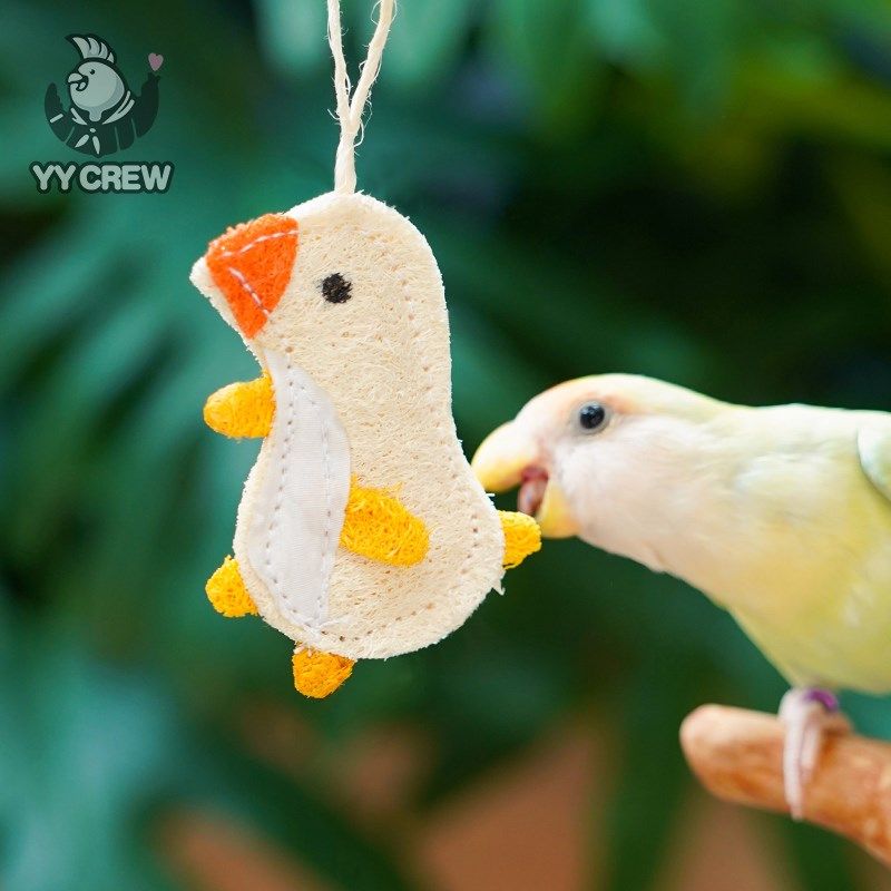 快速发货鹦鹦队鹦鹉小鸡啃咬挂件丝瓜络解闷玩具牡丹Y玄凤文鸟互,宠物/宠物食品及用品,鸟玩具,淘宝优惠券,粉丝福利购,淘宝优惠卷