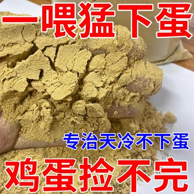 鸡下蛋专用蛋多多增蛋宝