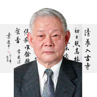 临摹叶选平书法手绘名人领导题词字画毛笔手写名家题字装饰字画收