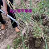 Новые модели перетокивают стальную дорожку и сталь -ковкость с четырьмя вилками, приземляющимися сосновым артефактом, для копания лукового имбирного картофеля, картофеля, чеснока сельскохозяйственное хозяйство