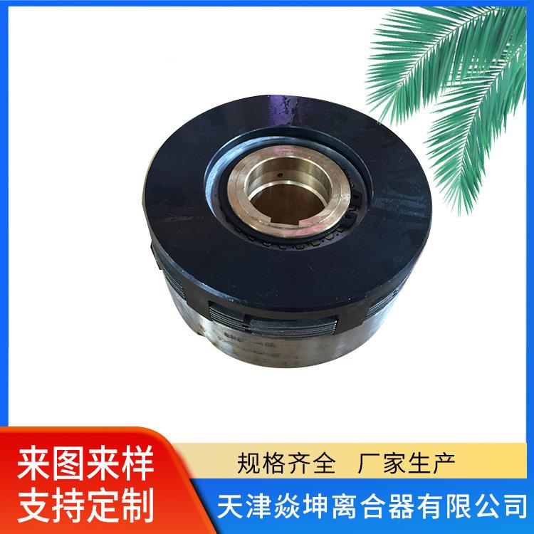 湿式多片电磁离合器（ERD系列）-DLM9-160A-天津厂家直销