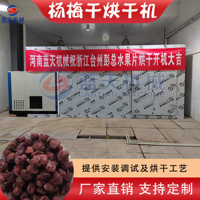 大型杨梅烘干设备 空气能树莓山杨梅水果果脯烘干房 杨梅干烘干机