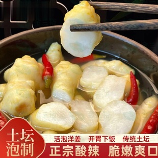 新鲜即食泡洋姜正宗四川泡菜下饭菜酸辣洋姜腌制酱菜酸预制袋坛装