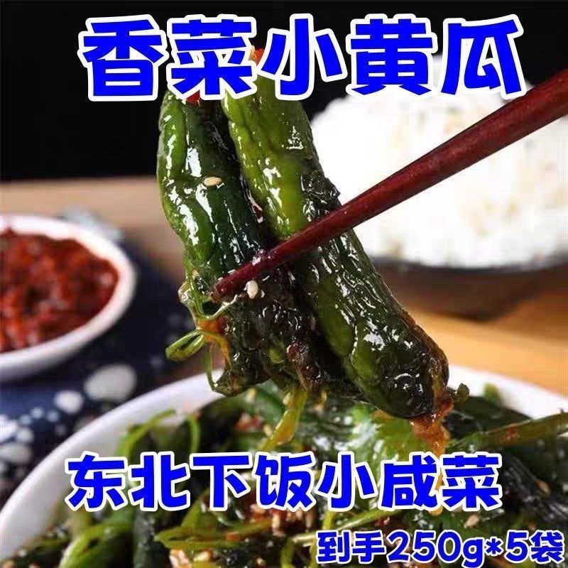 香菜黄瓜东北农家自制下饭菜开胃菜香菜小黄瓜东北农家自制下饭菜