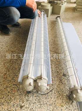 1x18w隔爆型防爆荧光灯 2x28w防爆洁净荧光灯