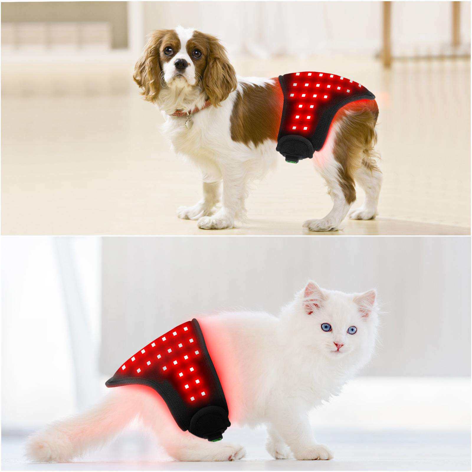 便携宠物理疗猫猫狗狗腹部屁股背部狗腿恢复伤口愈合骨折自动定时